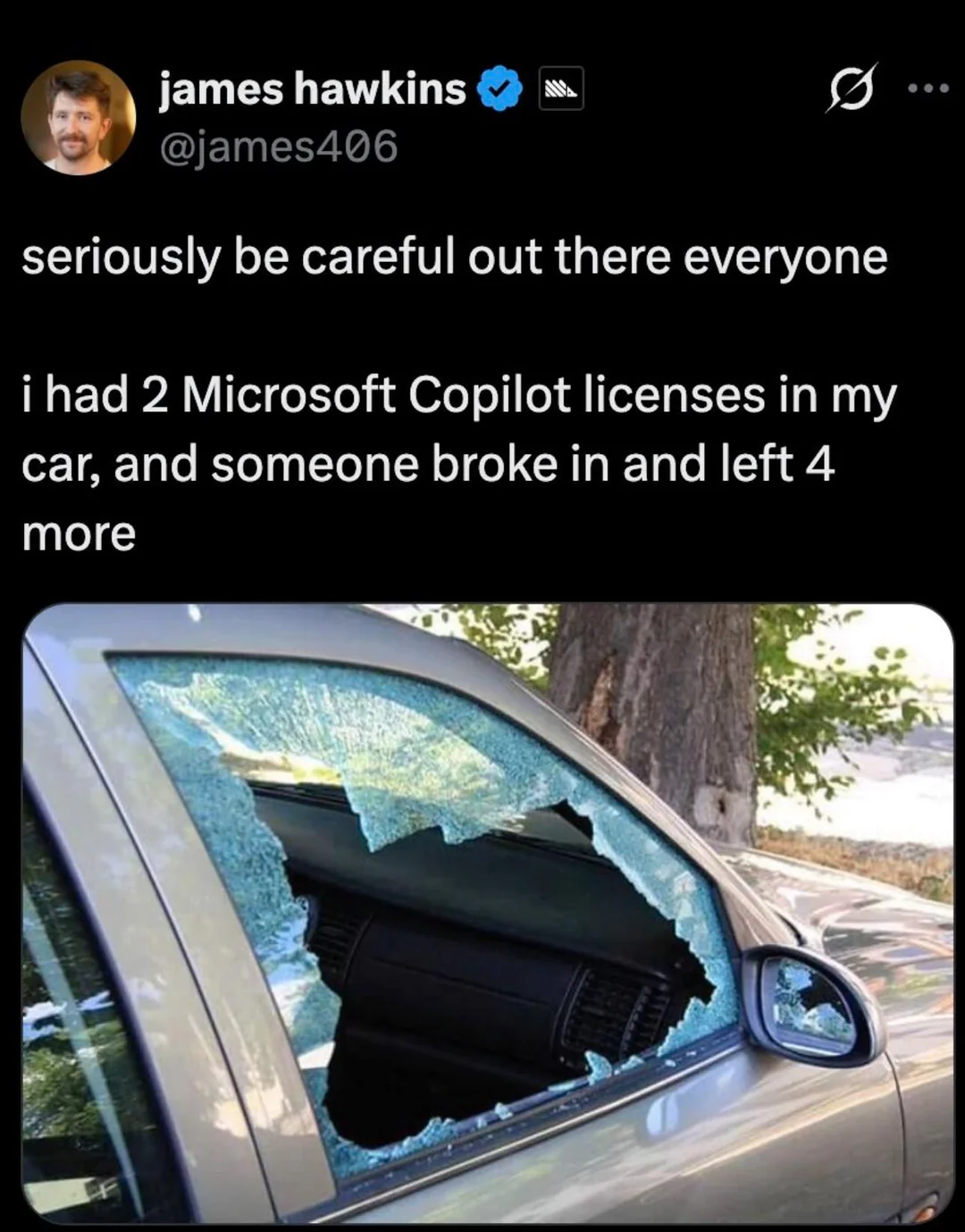 I had 2 Microsoft Copilot licenses in my car, and someone broke in and left 4 more