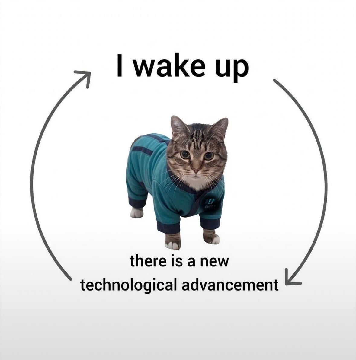 A loop diagram with a cat in teal pyjamas in the middle: